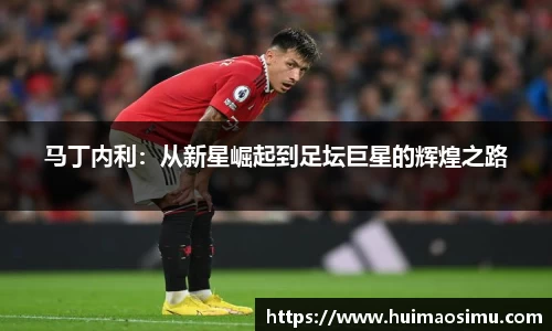 马丁内利:从新星崛起到足坛巨星的辉煌之路