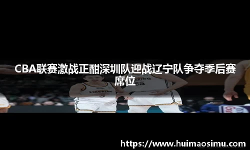 CBA联赛激战正酣深圳队迎战辽宁队争夺季后赛席位